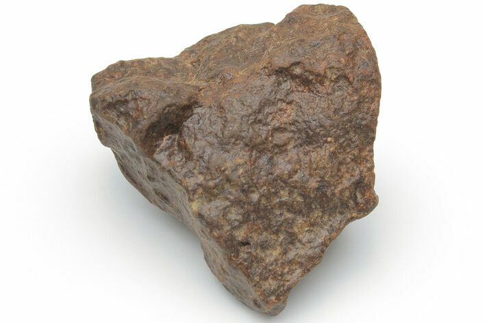 Chondrite Meteorite ( g) - Western Sahara Desert #223082